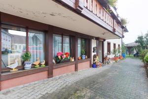 ein Gebäude mit vielen Topfpflanzen in den Fenstern in der Unterkunft Zur Ankegass in Görwihl