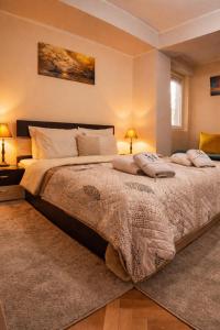 a bedroom with a large bed with two pillows on it at Mitrovi Apartment in Gevgelija +8 photos