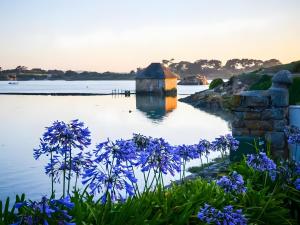 a view of a lake with blue flowers at Keranroux 315 - Île de Bréhat in Bréhat
