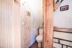 a bathroom with a white toilet in a room at Chalet 6p Premium - La Bergeronette in Verchaix +13 photos