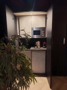 a kitchen with a microwave and a potted plant at Suite toute équipée Jacuzzi privé in Nîmes