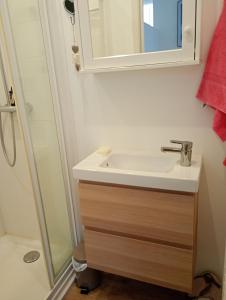 a bathroom with a sink and a shower at T2 bis Vue Aneto in Luchon +7 photos