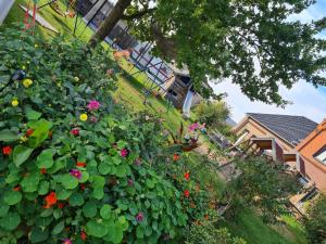 a garden with flowers on the side of a house at Lütt Smedhoff - Appartement Dresden in Gülzow