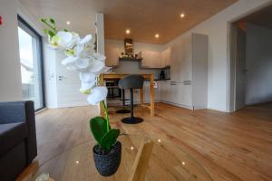 a living room with a glass table with a plant at Ferienwohnung Talblick in Kappelrodeck +18 photos