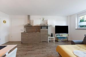 a living room with a kitchen and a tv at Casa Simona in Orsingen-Nenzingen