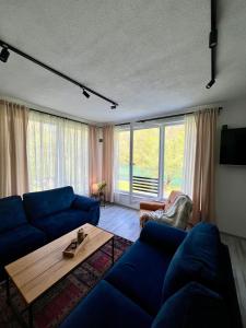 a living room with a blue couch and a table at Apartment Anur in Bihać