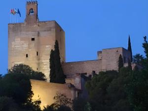 a castle on top of a hill at night at Casa con terraza centro Granada y vistas Alhambra in Granada
