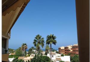a view of a city with palm trees and buildings at Denia Living in Denia