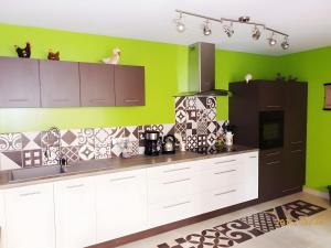 a kitchen with white cabinets and green walls at Gîte Chez Fanfoué in Orcier