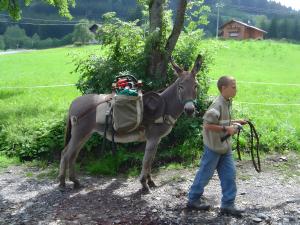 a man is standing next to a donkey at Gîte Chez Fanfoué in Orcier +7 photos