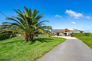 a palm tree on the side of a road at Ty Reuniou - La Grange in Cléder
