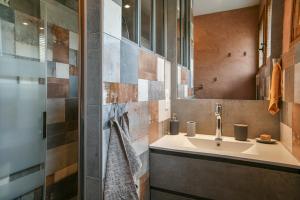 a bathroom with a sink and a mirror at Reflets De Montagnes in Chambéry +34 photos