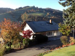a white house with a mountain in the background at Haus Palais in Münstertal
