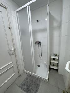 a white bathroom with a shower with a glass door at Apartamento Villarias in Bilbao +7 photos
