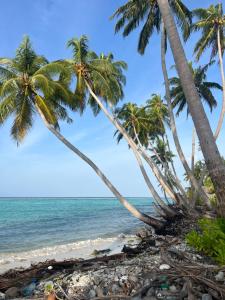 two palm trees on the beach at The Sandora Villa in Biladu