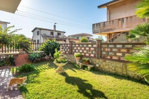 a cat walking in the yard of a house at Su Suergiu in San Giovanni Suergiu