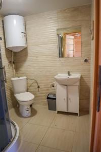 a small bathroom with a toilet and a sink at Ośrodek Rekreacyjno-Wypoczynkowy Żuczek, Debrzno in Debrzno