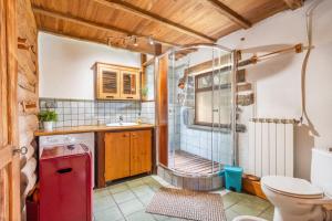 ein Badezimmer mit Dusche und Toilette in der Unterkunft Cal Serrat in Abella de la Conca