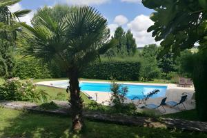 a palm tree next to a swimming pool at Les Hauts De Font Moure in Saint-Georges-des-Agoûts +25 photos