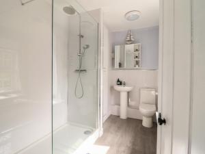 a bathroom with a shower and a toilet and a sink at Glanrafon in Llwyngwril +21 photos