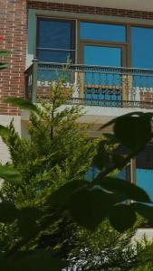 a tree in front of a building with a balcony at Cirag Hotel Kurdemir in Kyurdamir +8 photos