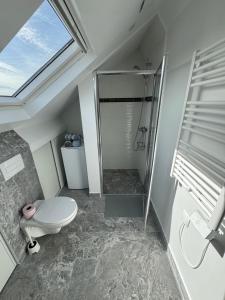 a bathroom with a toilet and a walk in shower at Appartement 4 morangis in Morangis