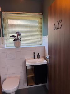 a bathroom with a toilet and a sink and a window at Haus 87a Apartment 2 in Oberkirch