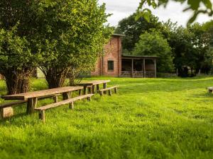 eine Reihe hölzerner Bänke auf einem Rasenfeld in der Unterkunft Behringhof in Leuenberg + 15 Fotos