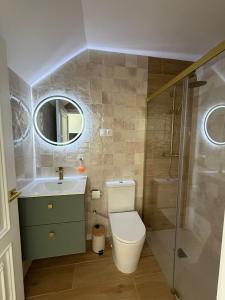 a bathroom with a toilet and a sink and a shower at Apartamento Aljibe in Arcos de la Frontera +6 photos