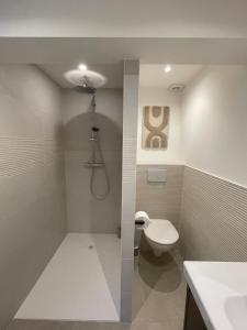 a small bathroom with a toilet and a shower at Mas de Méjas Chambre d'hôtes La Pierraille in Calvignac +31 photos
