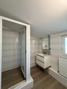 a bathroom with a sink and a mirror at ILSA Properties in Craiova