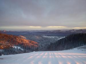 Příroda nedaleko farmy