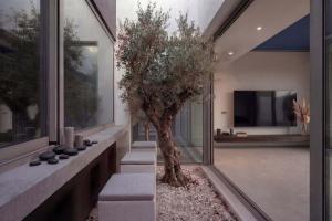 a house with a tree in the middle of a room at Anzo Villas in Oia