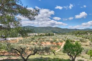 a field with trees and mountains in the distance at Casa La Paz in Figueroles