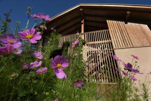 a garden with purple flowers in front of a building at B&B Mas de Lagorae in Tesero