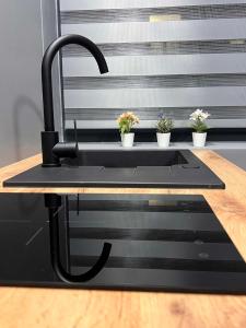 a kitchen sink with potted plants on a counter at Stacja Nałęczów 1 in Nałęczów