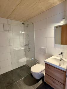 a bathroom with a toilet and a shower and a sink at Chalet Silentium in Bellwald