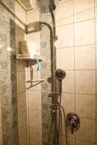a shower with a shower head in a bathroom at Ferienwohnung Schwarzalb in Untere Mühlbauern +33 photos