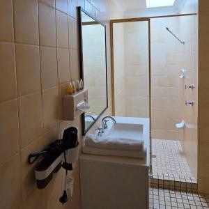 a bathroom with a sink and a shower at Sisleys Motel in Lismore