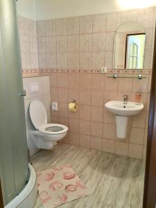 La salle de bains est pourvue de toilettes et d'un lavabo. dans l'établissement Pension Sebastian, à Český Krumlov