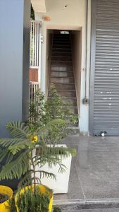 a stairway leading to a door with a plant at Moon Stays Newly Build I Couple Friendly I Panipat in Pānīpat