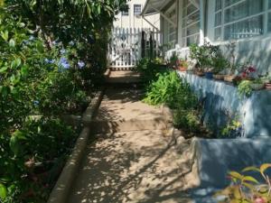 a garden with plants and a house at Mayors Rest on 44 in Uniondale