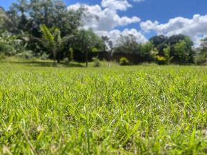 a field of green grass with trees in the background at Bershai Guest House in Lilongwe