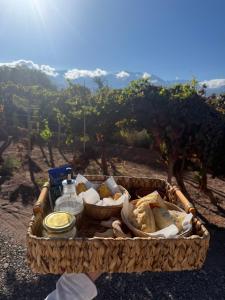 a basket filled with food sitting on the ground at Cabañas boutique la soñada BIS in Fiambalá