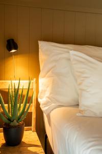 a bed with a pillow and a cactus on a table at Villa Lofoten balcony view in Ballstad