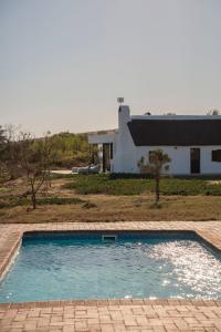 a swimming pool in front of a house at De Wildeveldt in Darling