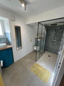 ein Badezimmer mit Dusche, Waschbecken und Toilette in der Unterkunft Raiv in Lectoure + 18 Fotos