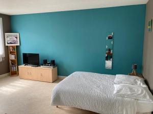 a bedroom with a blue wall and a bed at Chez Mimi in Châtillon-sur-Seine +8 photos