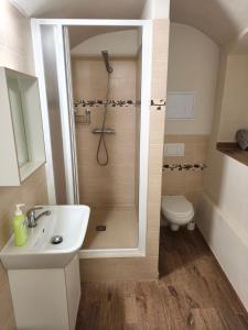 a bathroom with a shower and a sink and a toilet at Jüstel apartment in Litoměřice +6 photos