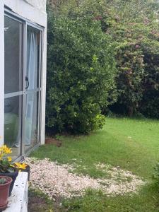 a yard with a window and a bush at Posada PuntaDelEste in Punta del Este